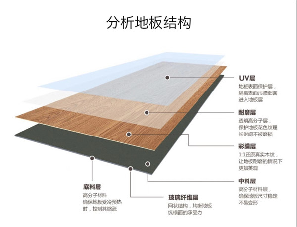 典雅复合地板剖析图